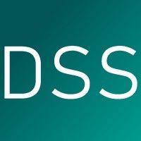 dss - digital service solution gmbh logo image