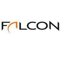 falcon management partners logo image