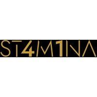 st4m1na logo image