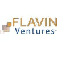 flavin ventures, llc logo image