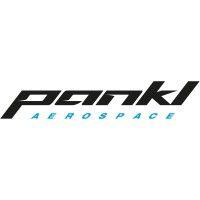 pankl aerospace systems logo image