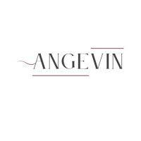 angevin holding pte ltd logo image