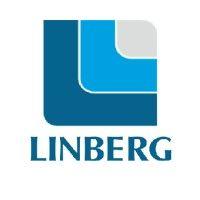 linberg consulting & intelligence (shanghai) co. ltd. logo image