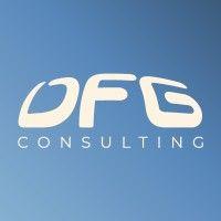 dfg consulting, d.o.o. logo image