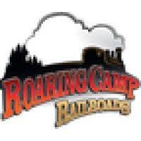 roaring camp inc logo image