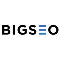 bigseo logo image