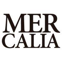 mercalia global market logo image