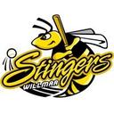 logo of Willmar Stingers