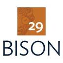 logo of 29 Bison