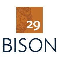 29bison logo image