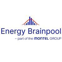 energy brainpool gmbh & co. kg logo image