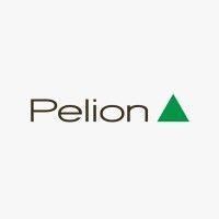 pelion s.a. logo image