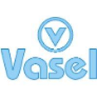 vasel systems (p) ltd logo image