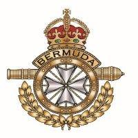 royal bermuda regiment logo image