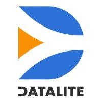 datalite logo image