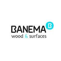 banema logo image