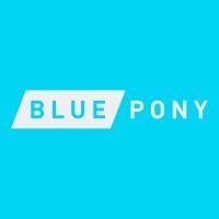 blue pony logo image