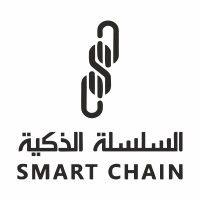 smart chain logo image