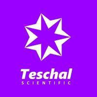 teschal solutions group logo image