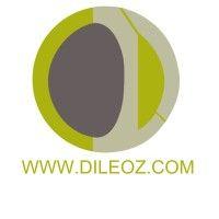 dileoz logo image