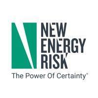 new energy risk logo image