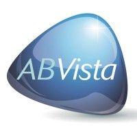 ab vista logo image