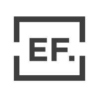 eddisonfields executive search logo image