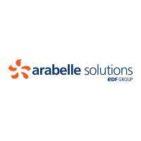 arabelle solutions logo image