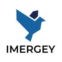 imergey logo image