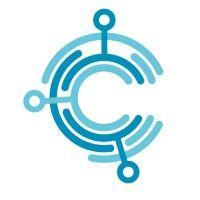 calyps data intelligence logo image