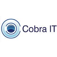 cobra it logo image