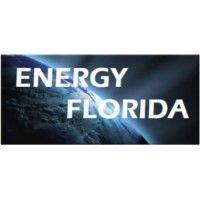 energy florida, inc logo image