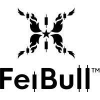 feibull logo image