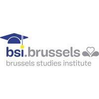 brussels studies institute logo image