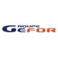 groupe gefor logo image