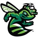 logo of Augusta Greenjackets Professional Baseball