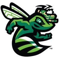 augusta greenjackets professional baseball