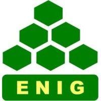 ecole nationale d'ingénieurs de gabès (e.n.i.g) logo image