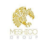 meshico group logo image