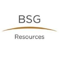 bsgr logo image