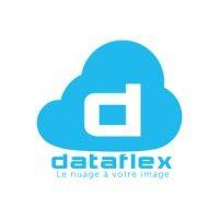 dataflex.pro logo image