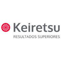 keiretsu consultancy services