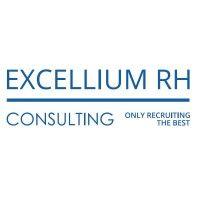 excellium rh consulting logo image