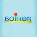 logo of Boiron Usa