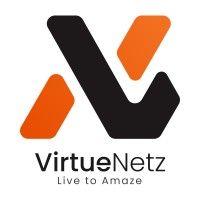 virtuenetz limited logo image