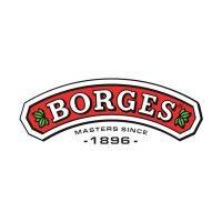 borges india logo image