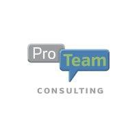 proteam consulting logo image