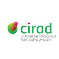 cirad logo image