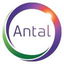 logo of Antal International