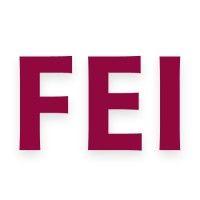 feisworld media logo image